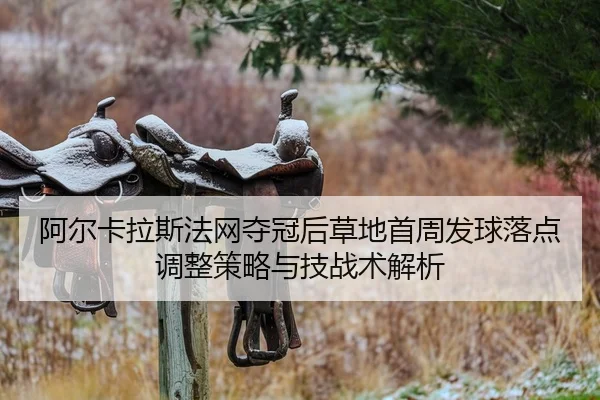 a-er-ka-la-si-fa-wang-duo-guan-hou-cao-di-shou-zhou-fa-qiu-luo-dian-tiao-zheng-ce-lve-yu-ji-zhan-shu-jie-xi-2-858.jpg